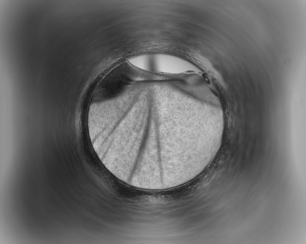 X0000093420250200711091422