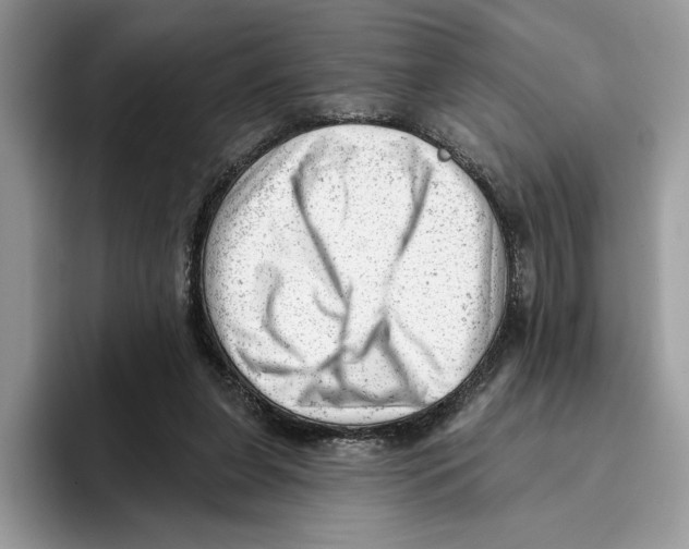 X0000093420255200711091422