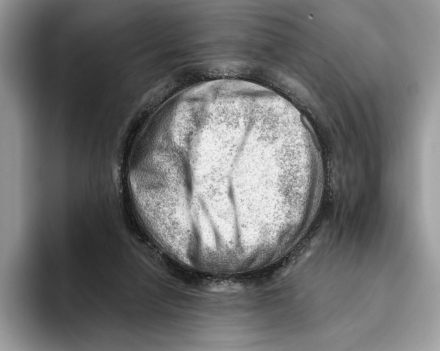 X0000093420258200711091423