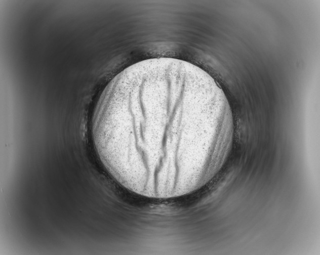 X0000093420259200711091423