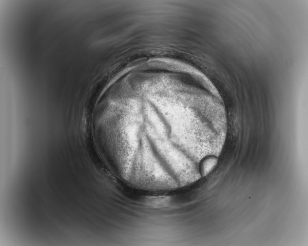 X0000093420266200711091423