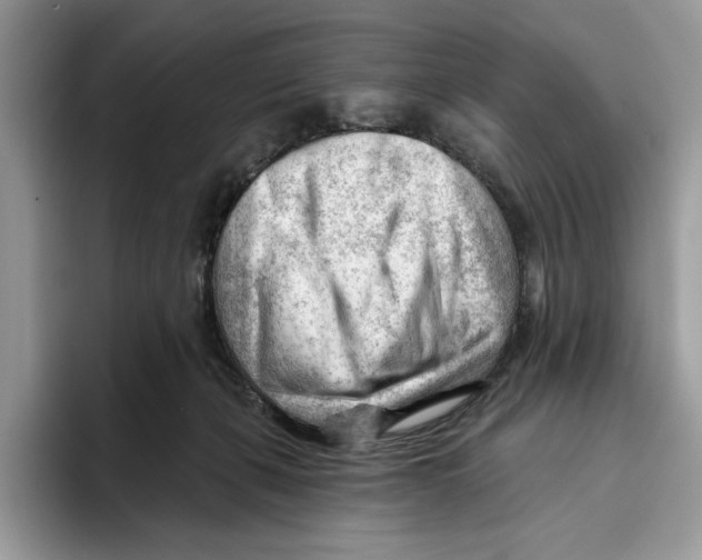 X0000093420271200711091423