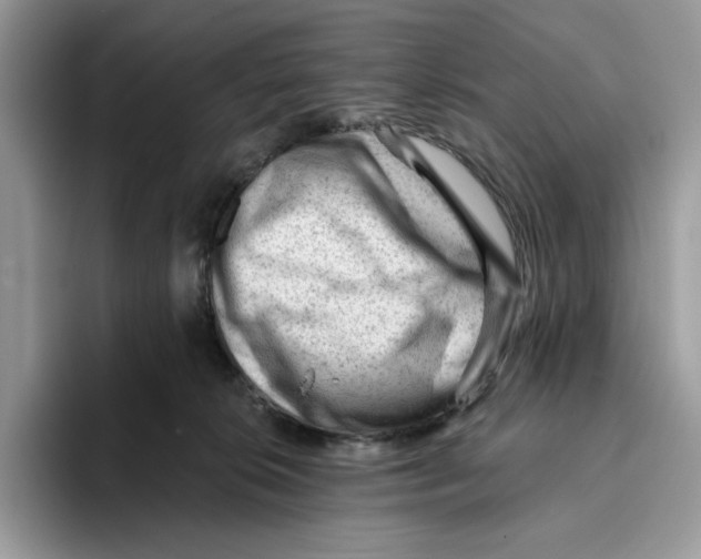 X0000093420276200711091423