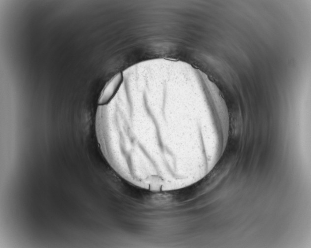 X0000093420279200711091423