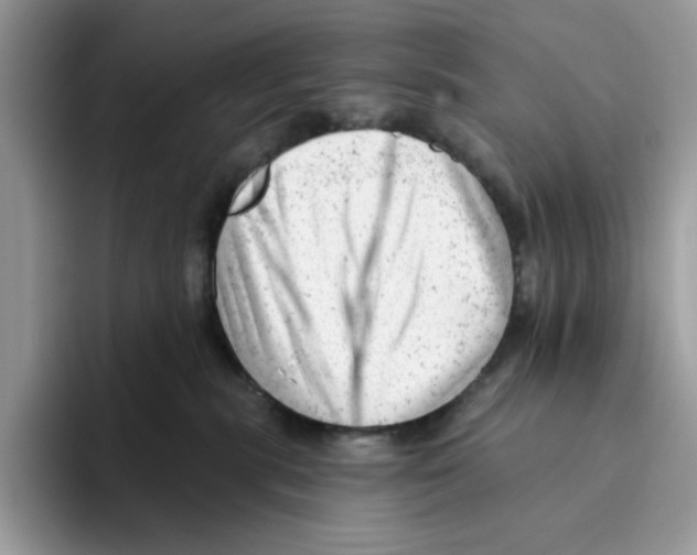 X0000093420283200711091423