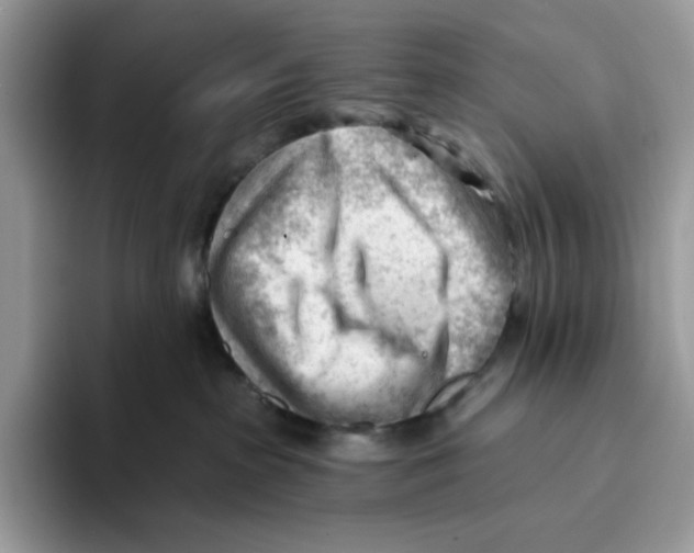 X0000093420285200711091423