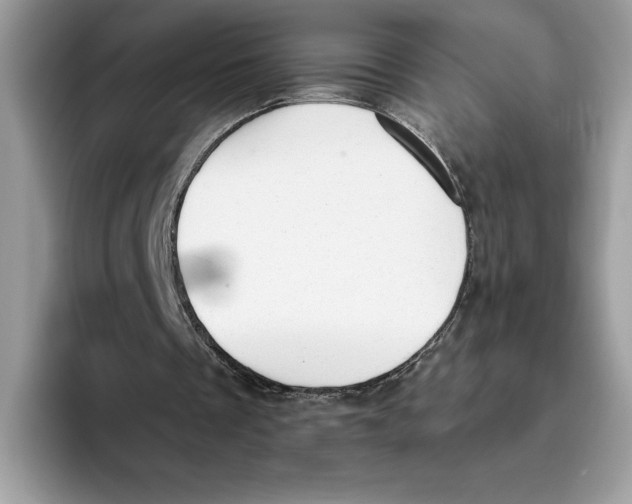 X0000093420289200711091422