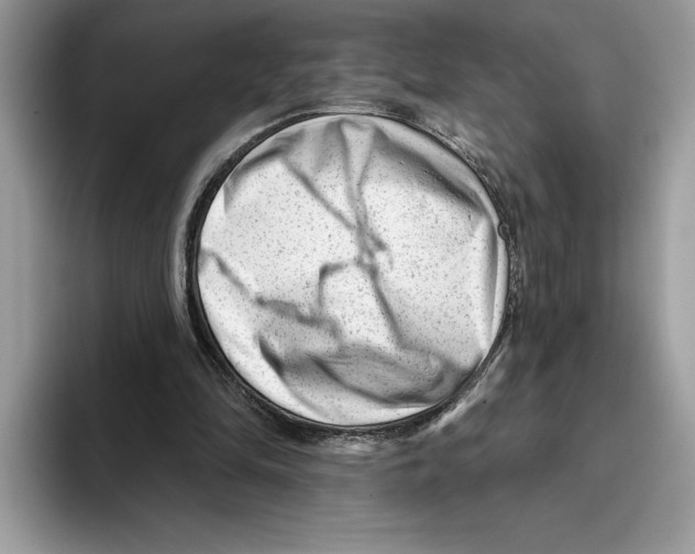 X0000093420294200711091422