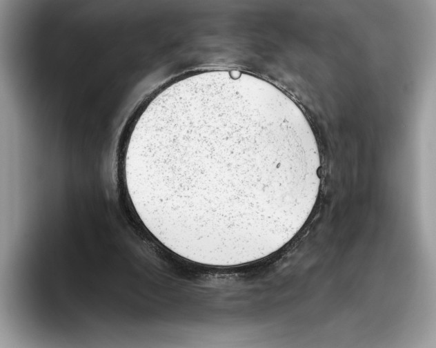 X0000093420296200711091422