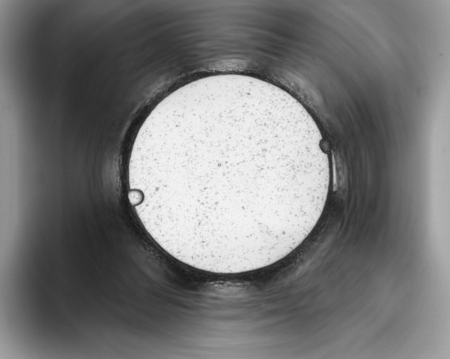 X0000093420300200711091422