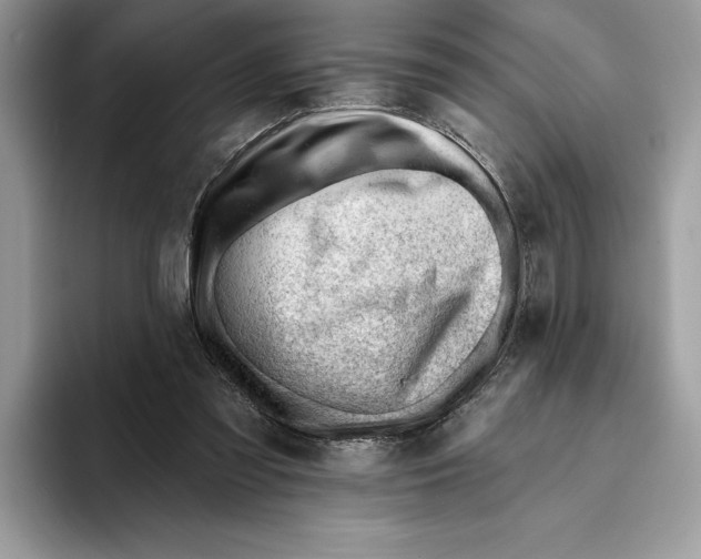 X0000093420301200711091422