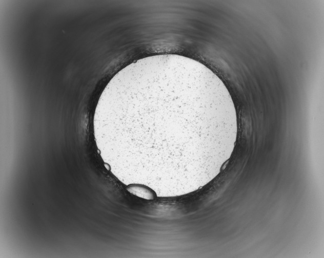 X0000093420308200711091422