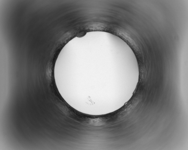 X0000093420309200711091422