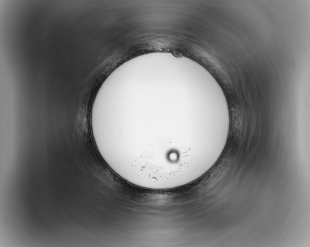 X0000093420313200711091422