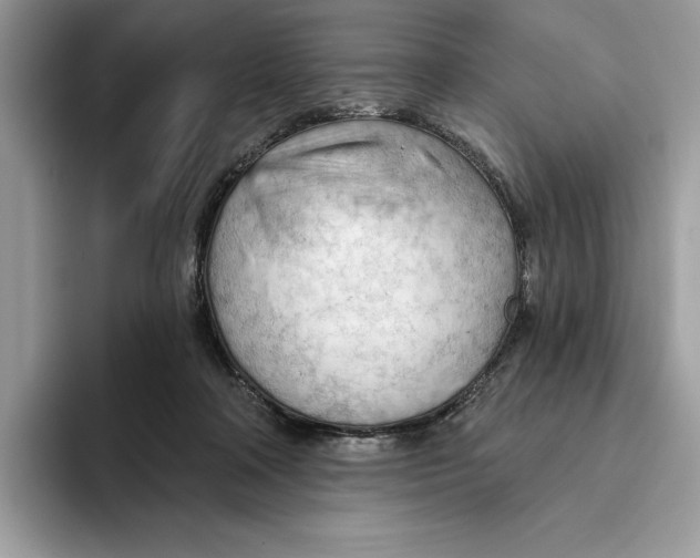 X0000093420314200711091422