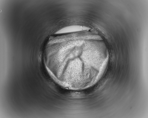 X0000093420315200711091422