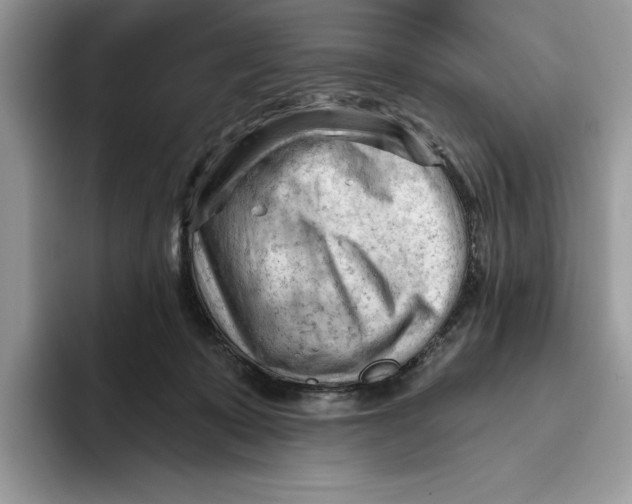 X0000093420319200711091422