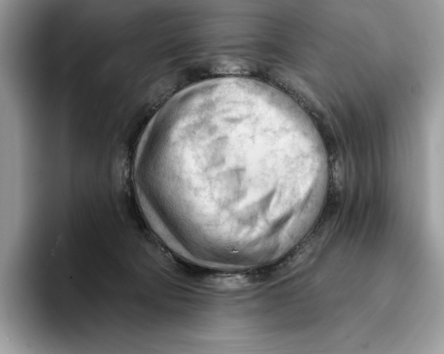 X0000093420322200711091422