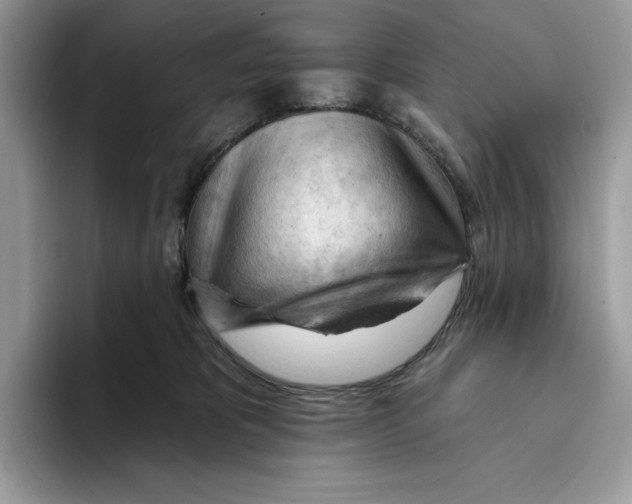 X0000093420325200711091422