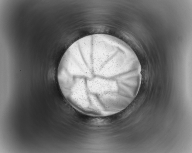 X0000093420326200711091422