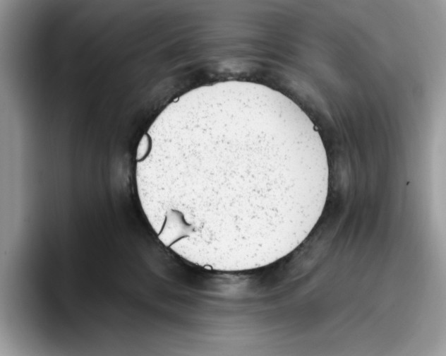 X0000093420328200711091422