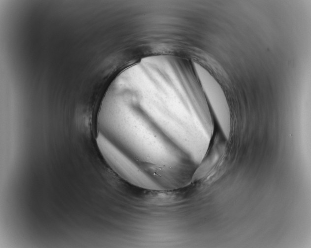 X0000093420329200711091422