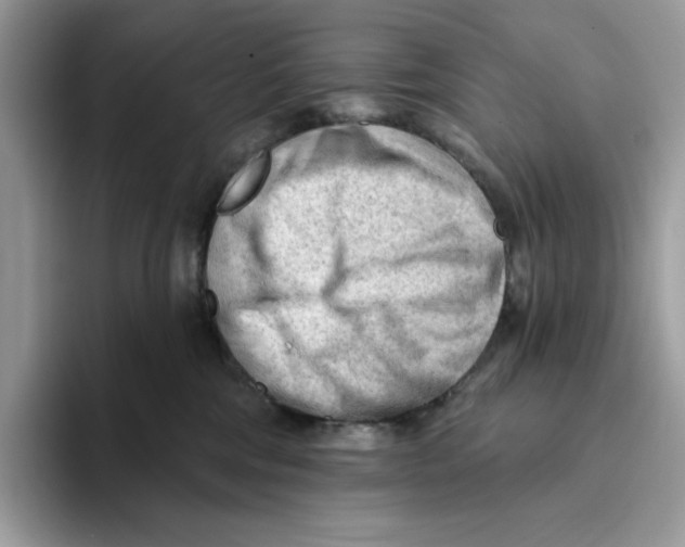 X0000093420330200711091422