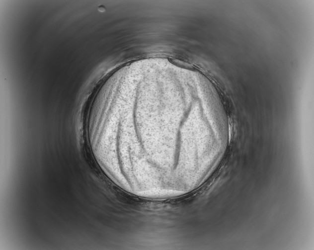 X0000093420339200711091421