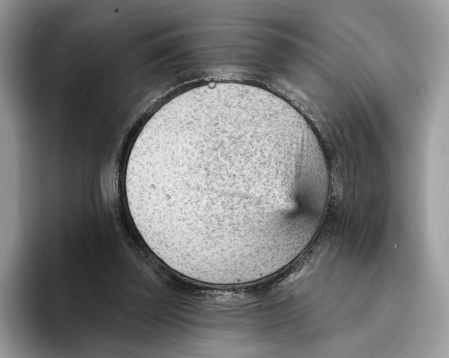 X0000093420347200711091421