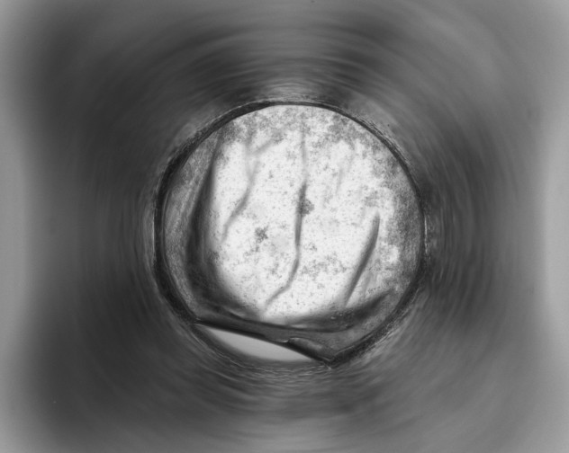 X0000093420349200711091421