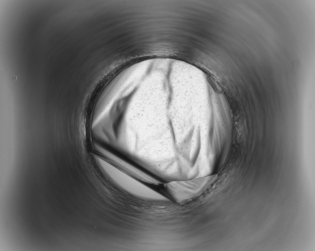 X0000093420350200711091421