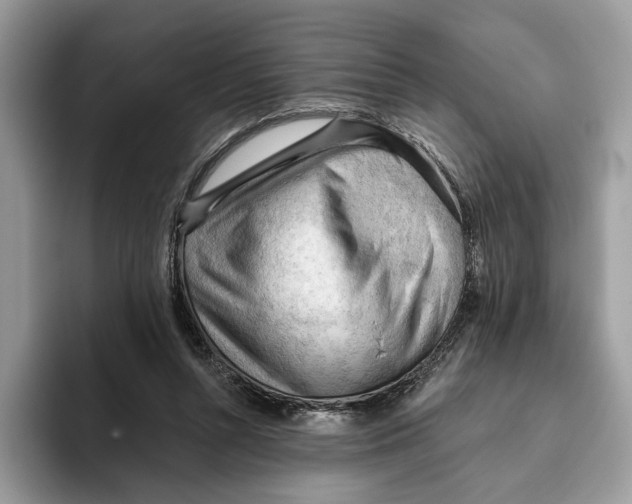 X0000093420352200711091421