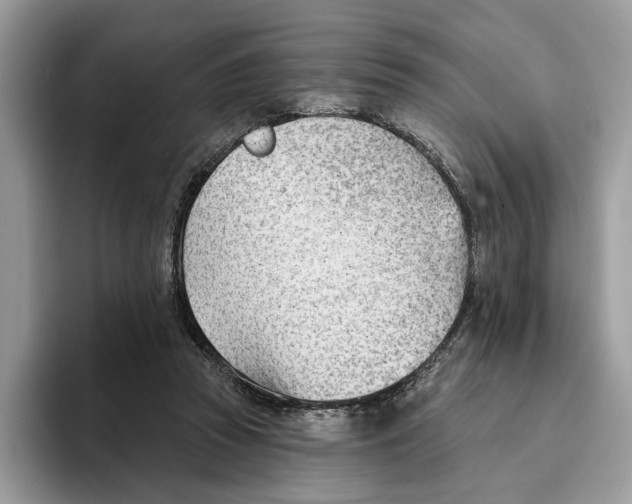 X0000093420353200711091421