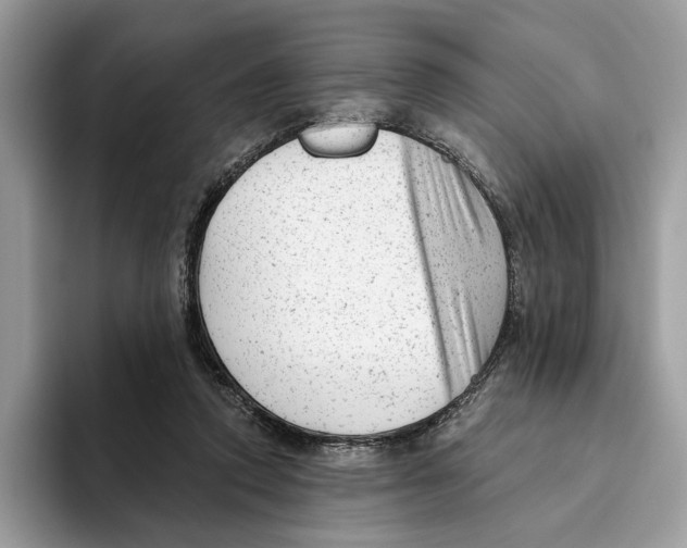 X0000093420354200711091421