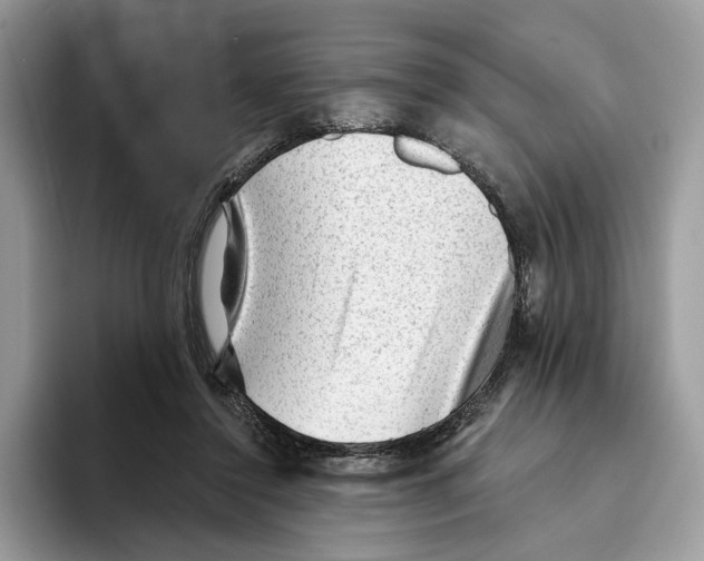 X0000093420356200711091421