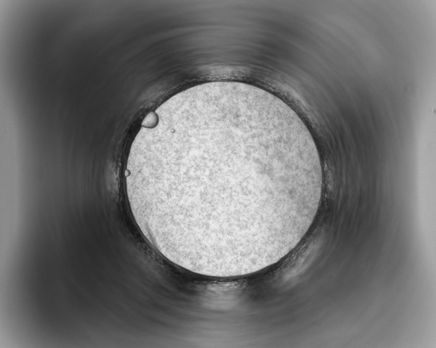 X0000093420357200711091421