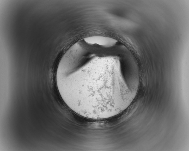 X0000093420366200711091422