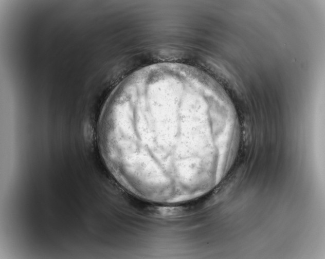 X0000093420371200711091422