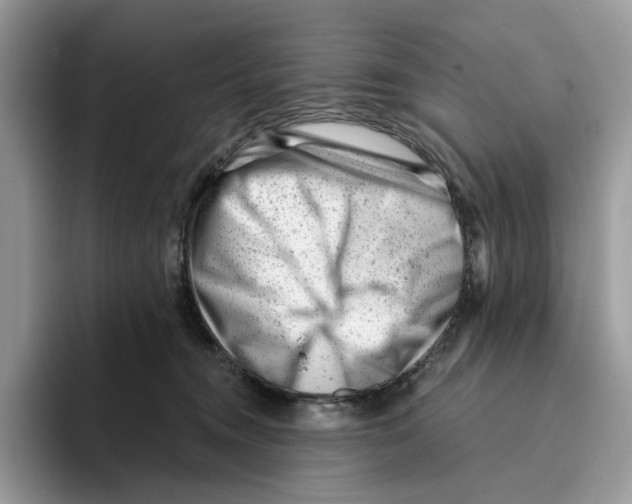 X0000093420372200711091422