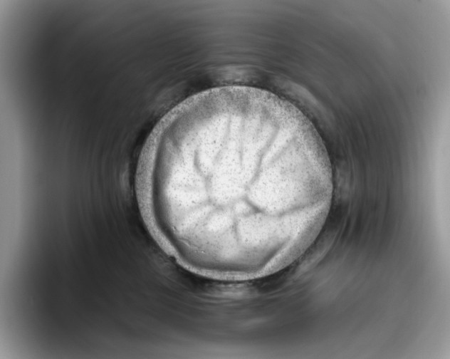 X0000093420377200711091422