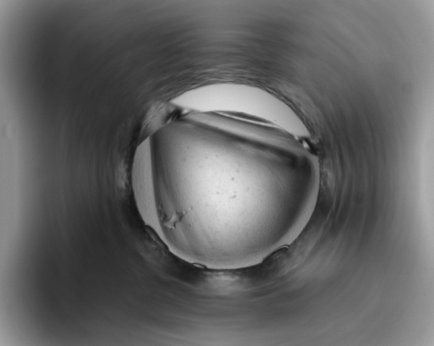 X0000093420380200711091422