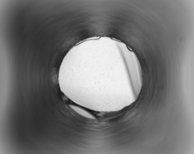 X0000093420384200711091422