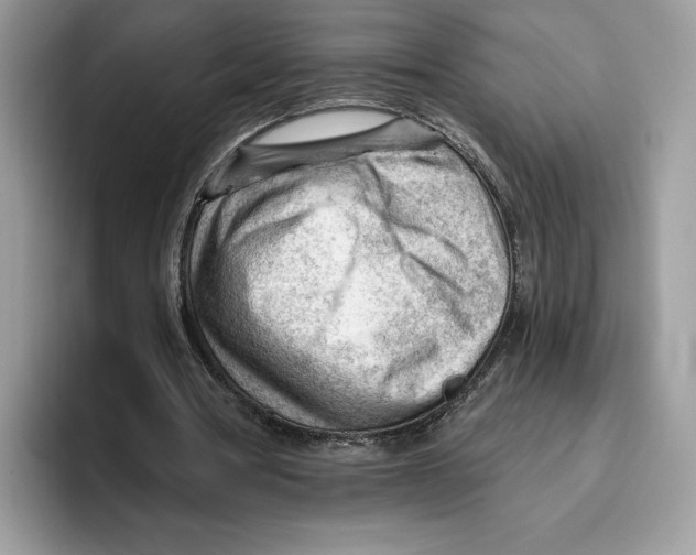 X0000093420386200711091421