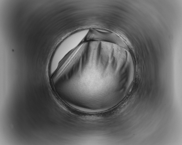 X0000093420389200711091421