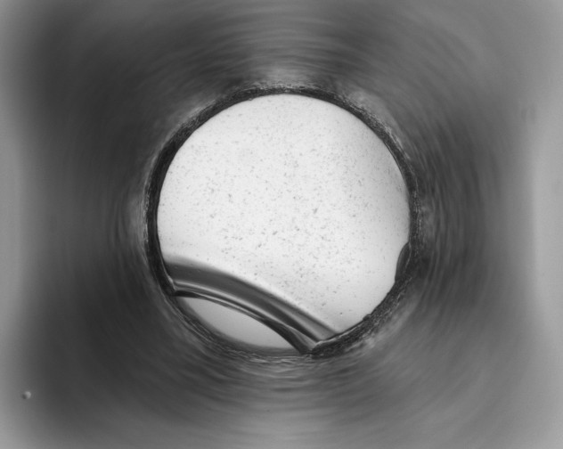 X0000093420395200711091421