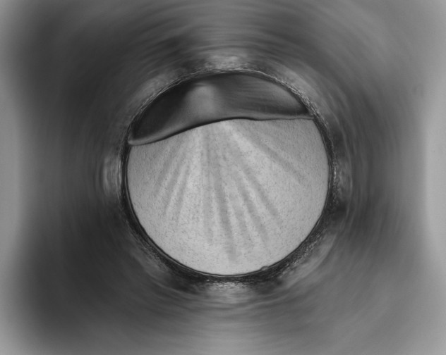 X0000093420397200711091421