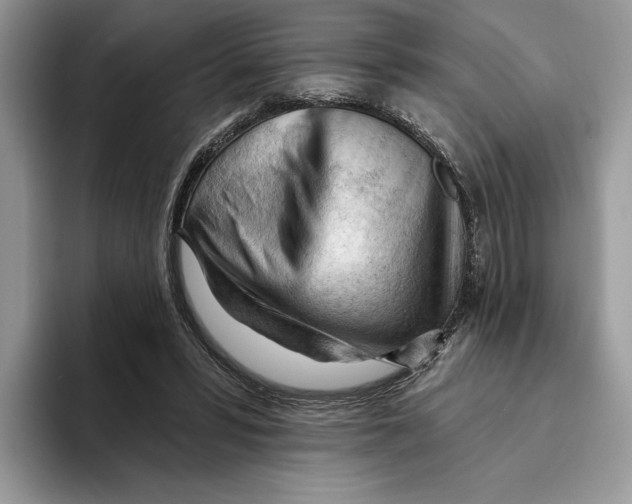 X0000093420399200711091421