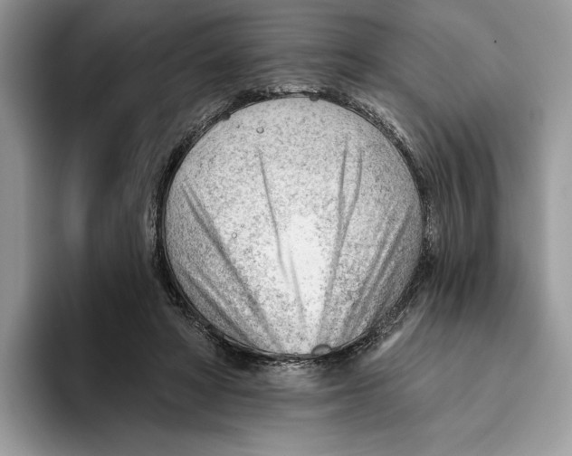 X0000093420402200711091421