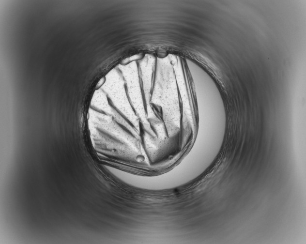 X0000093420405200711091421