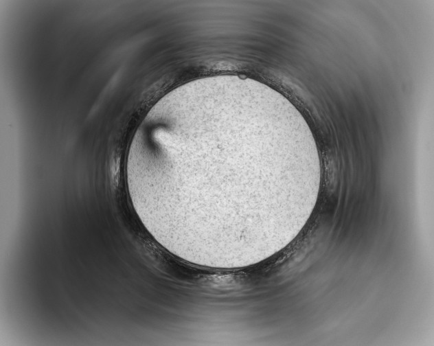 X0000093420406200711091421